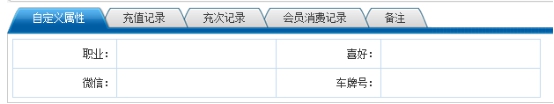 自定义属性展现样式